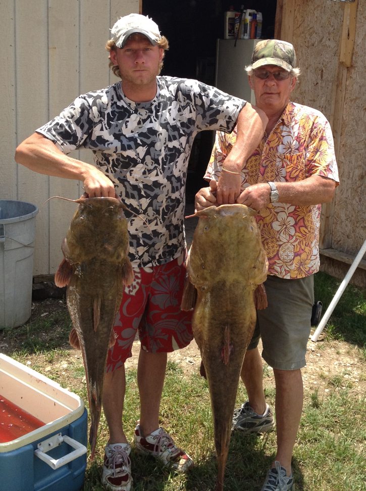 catfish.jpg